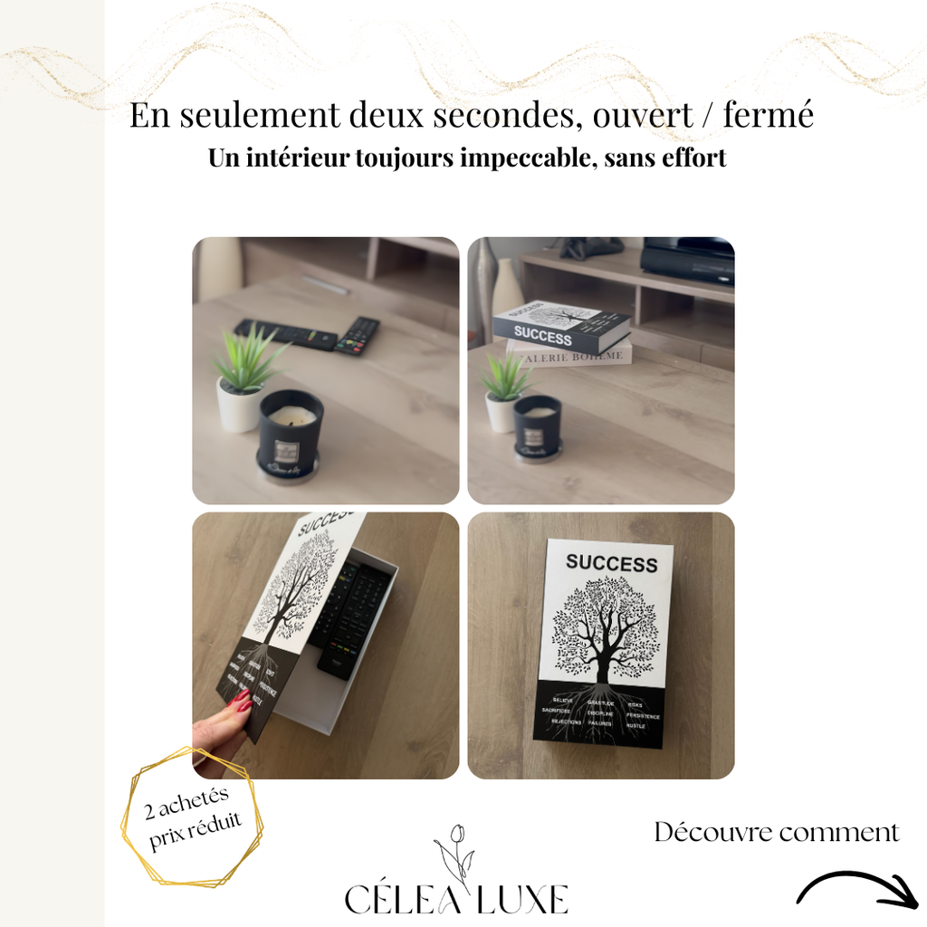 Faux livre de rangement pratique et raffiné