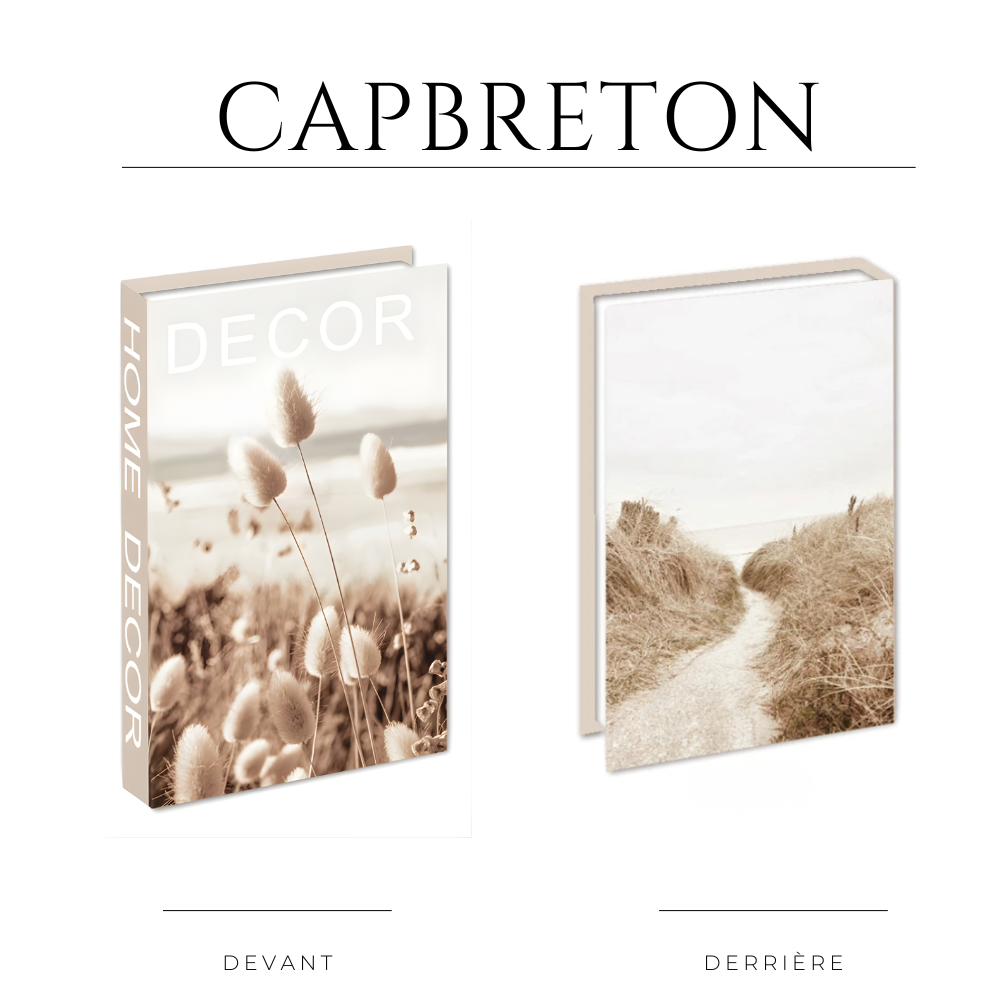 Faux livre de rangement pratique et raffiné