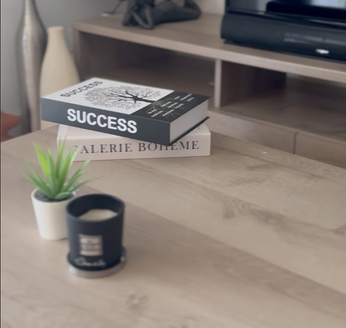 Faux livre de rangement pratique et raffiné