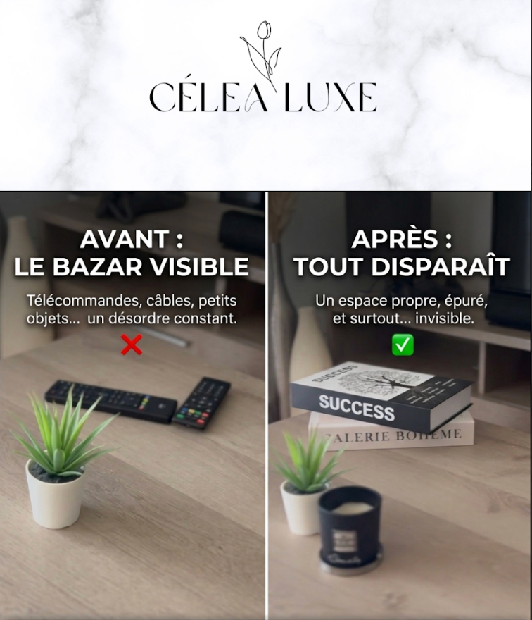 Faux livre de rangement pratique et raffiné